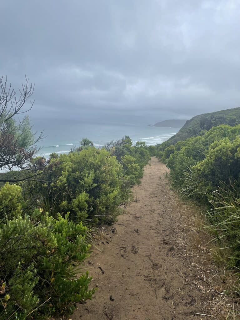 A sandy path on The Great Ocean Walk leading through lush green shrubbery toward a misty beach with ocean waves in the distance under a cloudy sky.