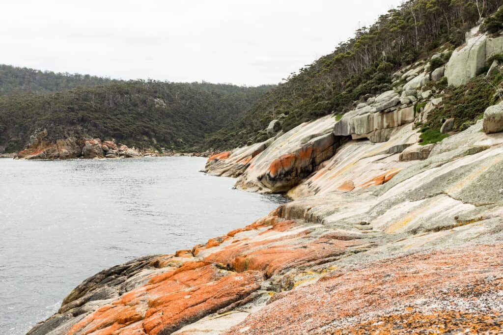 A rocky coastline with large, colorful boulders, including orange and grey hues, is adjacent to a calm body of water and backed by forested hills—perfect for those seeking Maria Island accommodation.