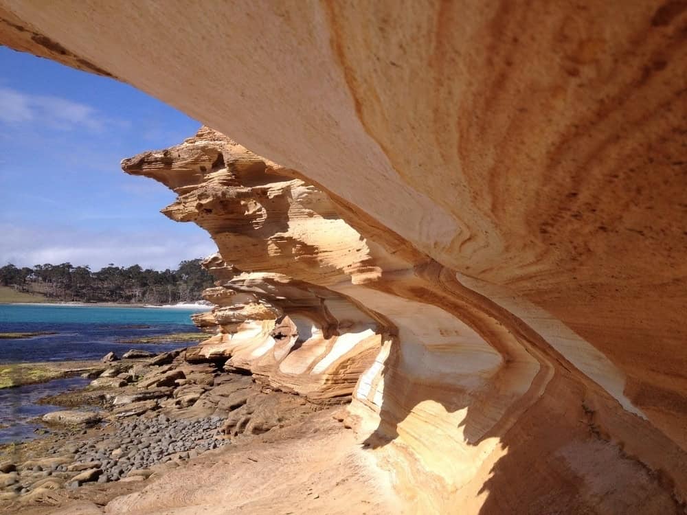 Close-up of wave-like sandstone formations by a rocky coastline on Maria Island, Tasmania, with a clear blue sky and distant trees in the background.