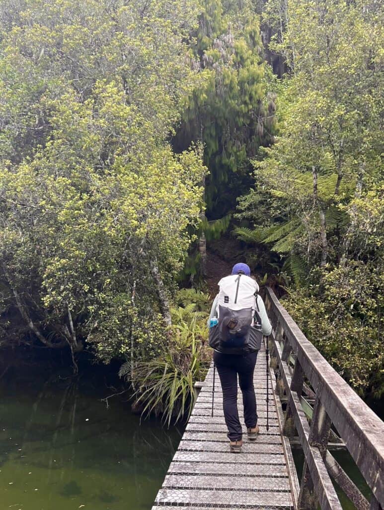 A person with a backpack walks across a narrow wooden bridge over a green water body, surrounded by dense greenery.