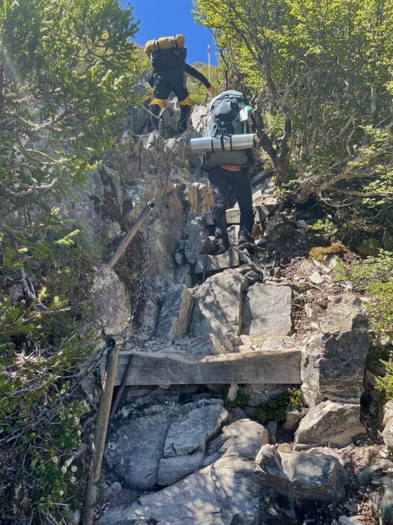 Two hikers, carrying backpacks and climbing gear, ascend a steep, rocky trail surrounded by green foliage under a clear blue sky. Their journey along the Overland Track was meticulously planned from the packing list to ensuring all necessary bookings for the trek.