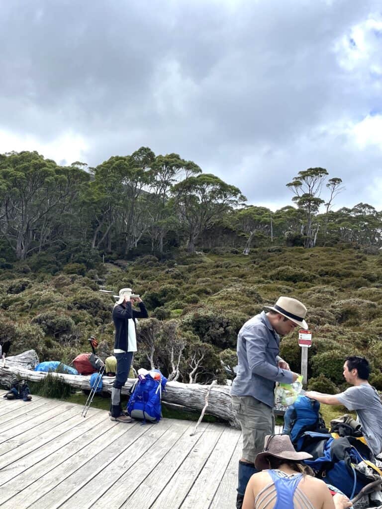 Hikers with backpacks are gathered on a wooden deck near a forest and cloudy sky. One person is taking a photo, while others are looking at maps or gear, planning their overland track bookings for the journey ahead.