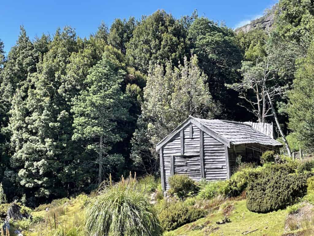 An old, weathered wooden cabin stands in a grassy clearing along the Overland Track via Lees Paddock, surrounded by dense, green forest under a clear blue sky.