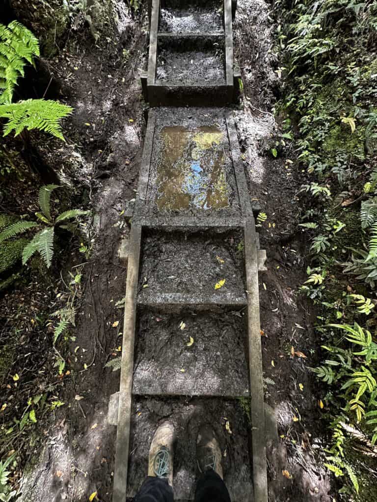 Muddy wooden steps in a forest with a reflective puddle in the center. Person's feet visible at the bottom edge of the image.