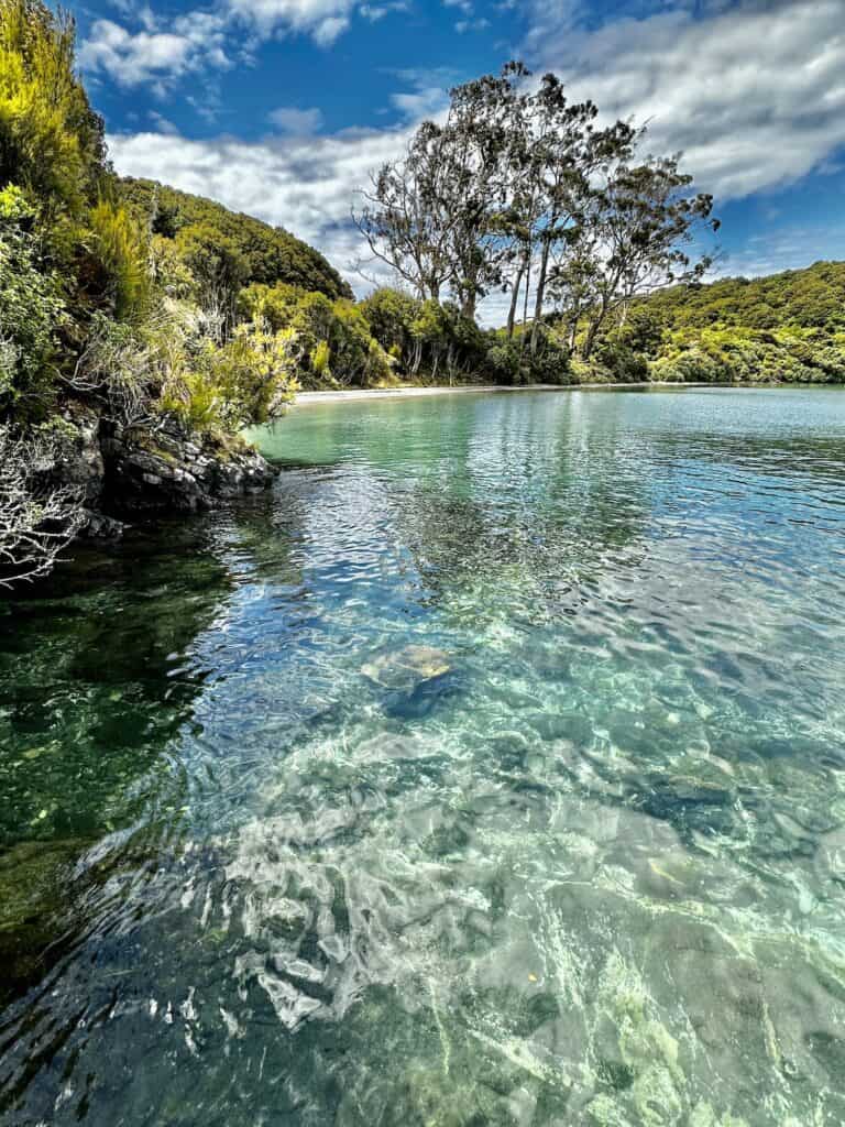 Clear water with visible rocks and vegetation in the foreground, trees on the shoreline, and a partly cloudy sky above.
