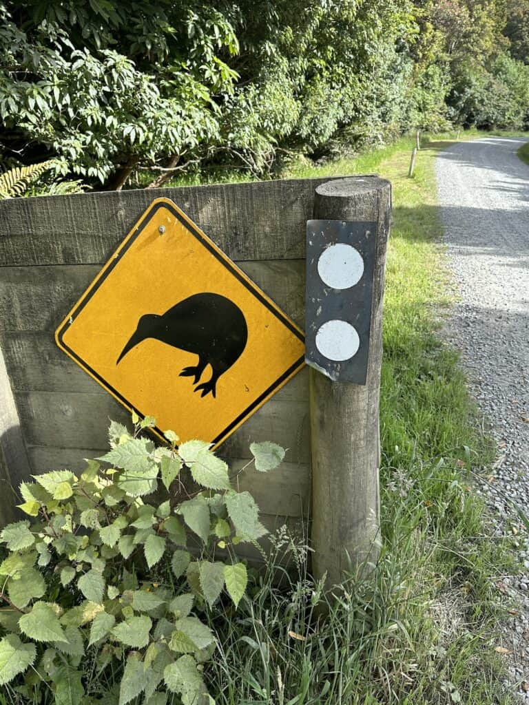 A yellow diamond-shaped kiwi crossing sign is mounted on a wooden post beside a gravel path lined with greenery.