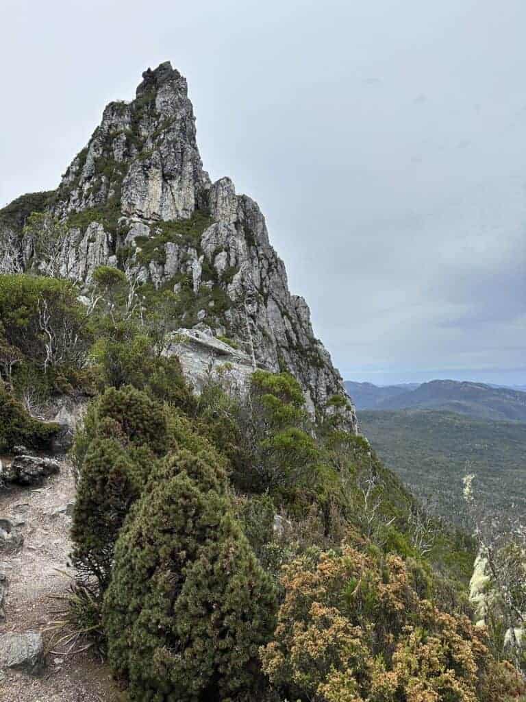 A rugged, rocky mountain peak with a trail leading up to it, surrounded by dense vegetation and overlooking a vast, mountainous landscape under an overcast sky—a true adventure awaits on the Frenchmans Cap hike.