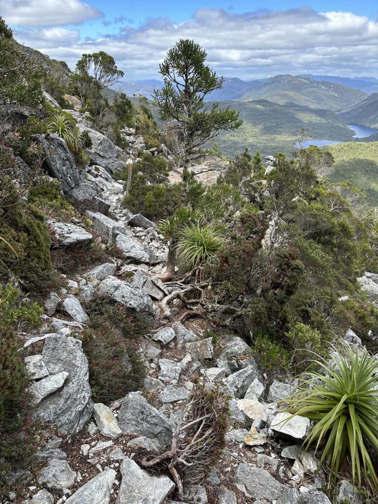 A rocky hiking trail with sparse vegetation leads towards a distant lake and the striking Frenchmans Cap mountain range under a cloudy sky.