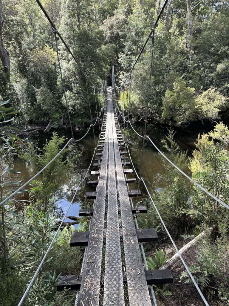 A narrow suspension bridge with wooden planks and metal railings stretches over a river, surrounded by dense trees and foliage—a scene reminiscent of the verdant surroundings you'll encounter on the Frenchmans Cap hike.