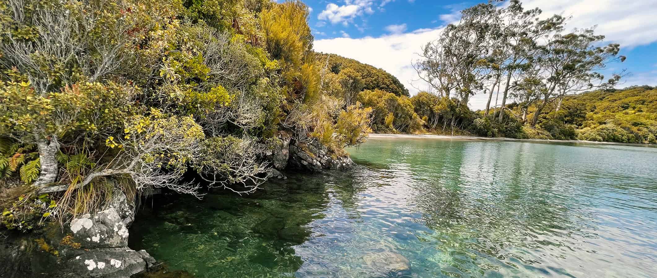 A serene lake with clear turquoise water, reminiscent of the vistas along the Rakiura Track, is surrounded by dense, lush greenery and rocky formations under a partly cloudy blue sky. Tall trees and bushes frame the scene, creating a tranquil and picturesque natural setting.