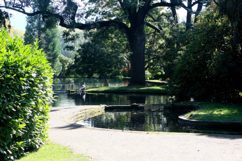 A serene park, reminiscent of the tranquility found near the Styx Valley, features a large tree shading a pond with ducks. Curved pathways and shrubs surround the water, creating a peaceful atmosphere.