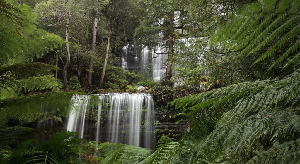 A lush forest scene with a two-tiered waterfall flows amidst dense green foliage and tall trees, reminiscent of the enchanting landscapes found along the journey from Derwent Bridge to Hobart.