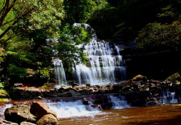 Water cascading down a multi-tiered waterfall surrounded by lush green foliage in Cataract Gorge, located in a serene forest setting.