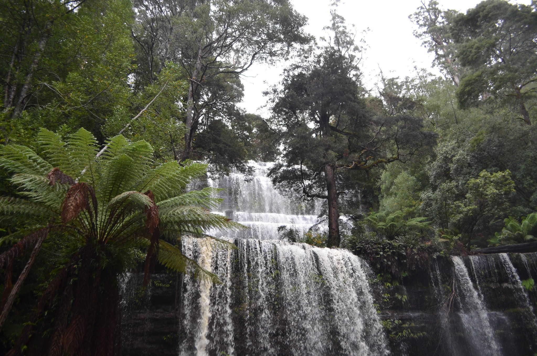 Lush forest in styx valley with a multi-tiered waterfall cascading over rocky ledges, surrounded by dense green foliage and ferns.