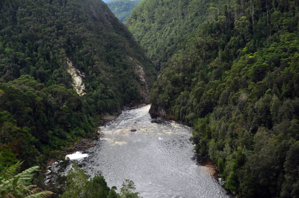 Aerial view of a winding river flowing through a densely forested mountain valley near Queenstown to Derwent Bridge.