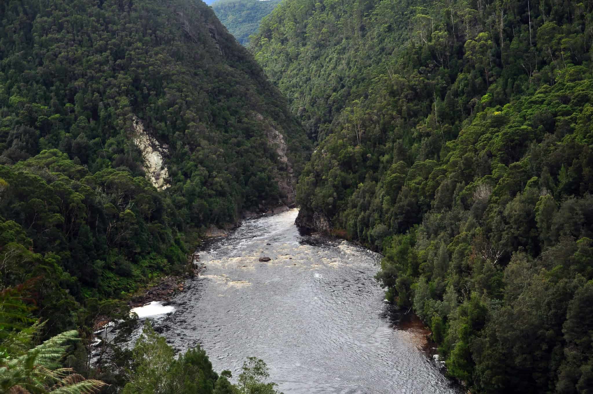 Aerial view of a winding river flowing through a densely forested mountain valley near Queenstown to Derwent Bridge.