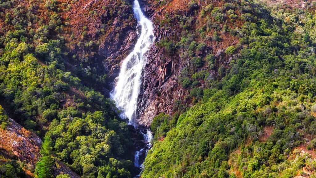 A tall, narrow waterfall cascades down a rocky, forested mountain near the Iron Blow Lookout, creating a serene scene for travelers journeying from Queenstown to Derwent Bridge.