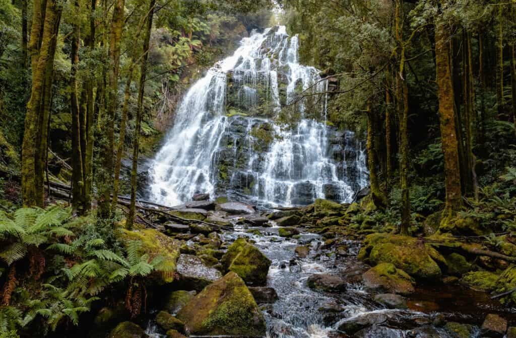 A cascading waterfall flows down multiple tiers surrounded by lush green trees and moss-covered rocks near the famed route from Queenstown to Derwent Bridge in a forested area.