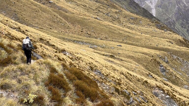 A person with a backpack hikes along a narrow trail on a grassy, mountainous terrain. The landscape features yellowish-brown grass and patches of shrubs, rated by the Australian Walking Track Grading System.