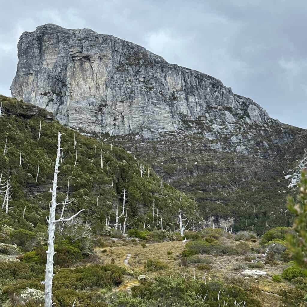 A rugged rocky mountain peak rises above a forest with several dead trees and green shrubs under a cloudy sky, reminiscent of the stunning landscapes seen on the Queenstown to Derwent Bridge route.