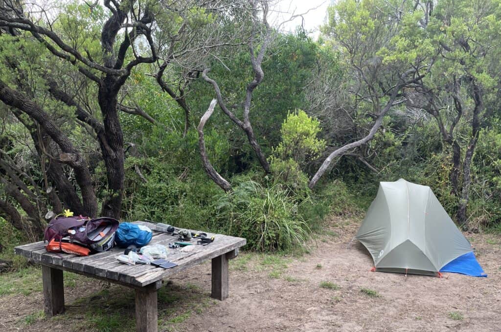 A camping site along the Great Ocean Walk with a tent next to a wooden table covered in gear, surrounded by dense greenery and twisted trees.