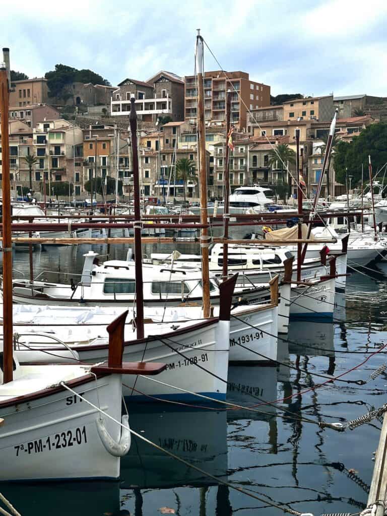 A row of white boats docked at a marina with a backdrop of multi-story buildings on a hillside.