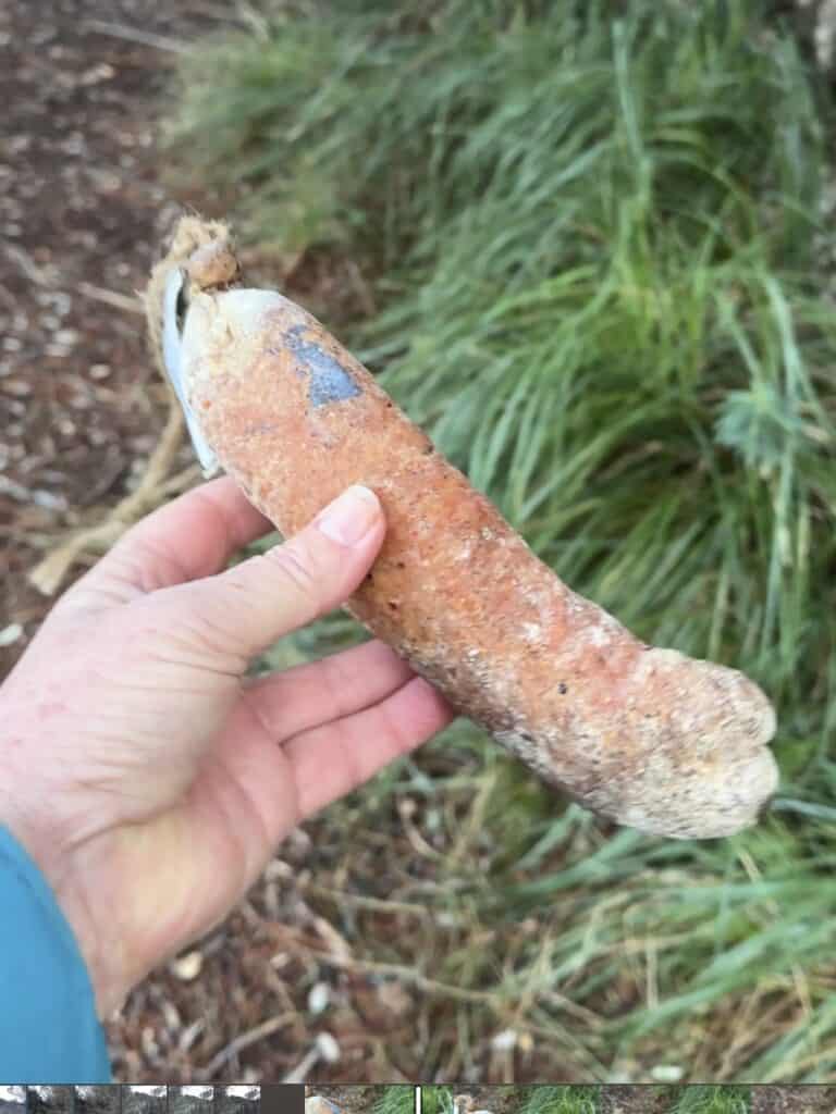 A hand holding a large, rustic sausage outdoors with the lush grass of the GR221 Mallorca trail in the background.
