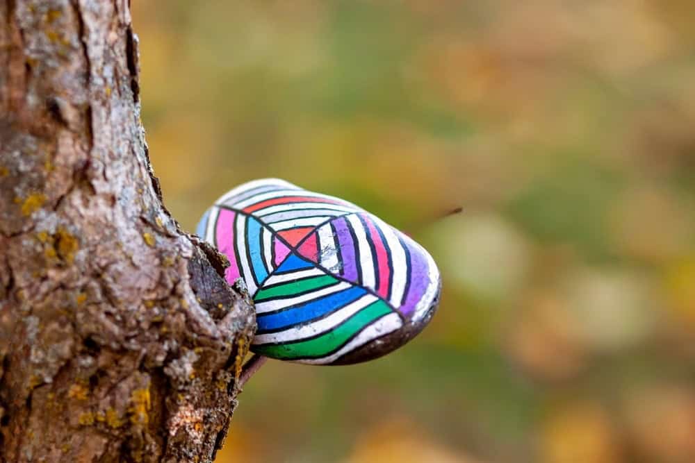 A rock with multicolored geometric patterns is wedged in the fork of a tree trunk. Background is blurred with autumnal colors, reflecting the leave no trace principles to preserve nature's beauty.