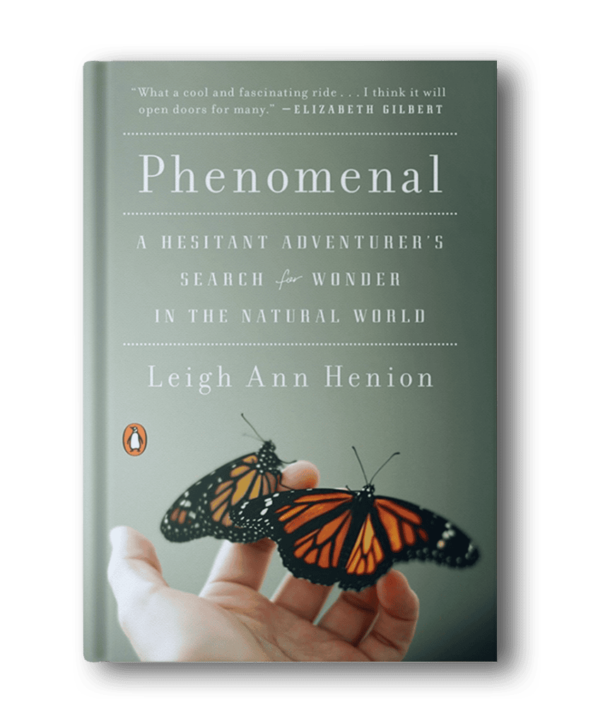 Cover of the book "Phenomenal: A Hesitant Adventurer's Search for Wonder in the Natural World" by Leigh Ann Henion, featuring a hand holding two butterflies—an inspiring addition to hiking books for women.