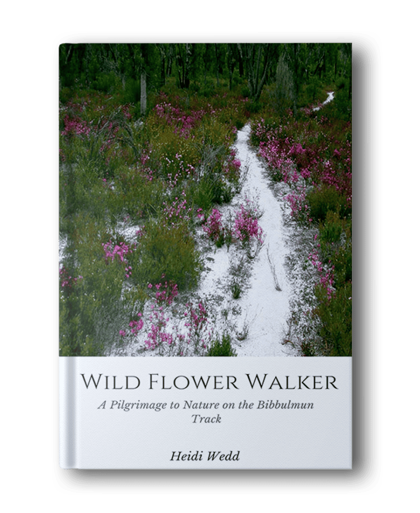 Cover of the book titled "Wild Flower Walker: A Pilgrimage to Nature on the Bibbulmun Track" by Heidi Wedd. The image shows a white sandy path winding through an area overgrown with wildflowers, perfect for those seeking hiking books for women.