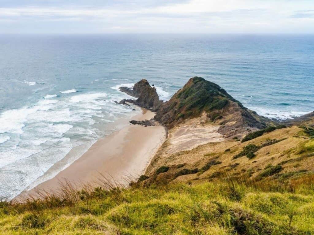 Experience a scenic view of rugged coastal beauty while hiking New Zealand's North Island. A sandy beach is bordered by rocky cliffs, as ocean waves gently lap the shore. Grassy hills provide a lush foreground under a slightly cloudy sky, inviting adventurers to explore further.