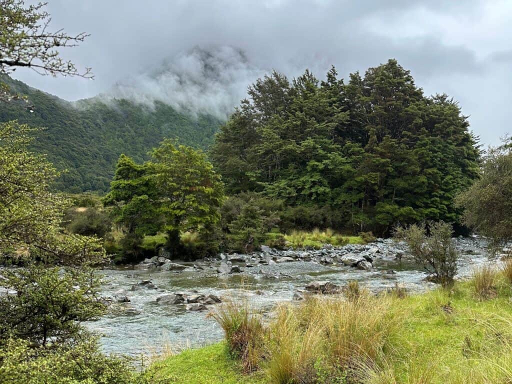 A lush green landscape with a rocky river flowing in the foreground. Dense trees line the riverbank, and a misty, forested mountain rises in the background under a cloudy sky.