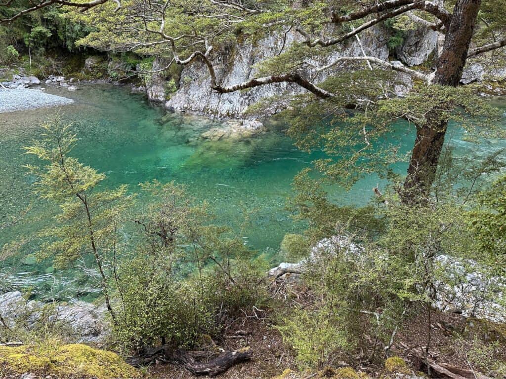 A serene scene of a turquoise river flowing through a rocky landscape, surrounded by lush green trees and foliage. The clear water reflects the greenery and branches hanging over it.