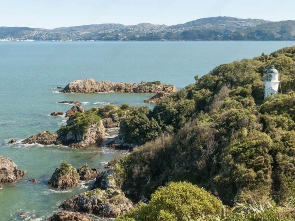 Coastal landscape with rocky shoreline and green foliage, featuring a small white lighthouse on a hill. The calm sea extends towards distant hills under a clear blue sky, reminiscent of hiking in North Island, New Zealand’s picturesque coastal trails.