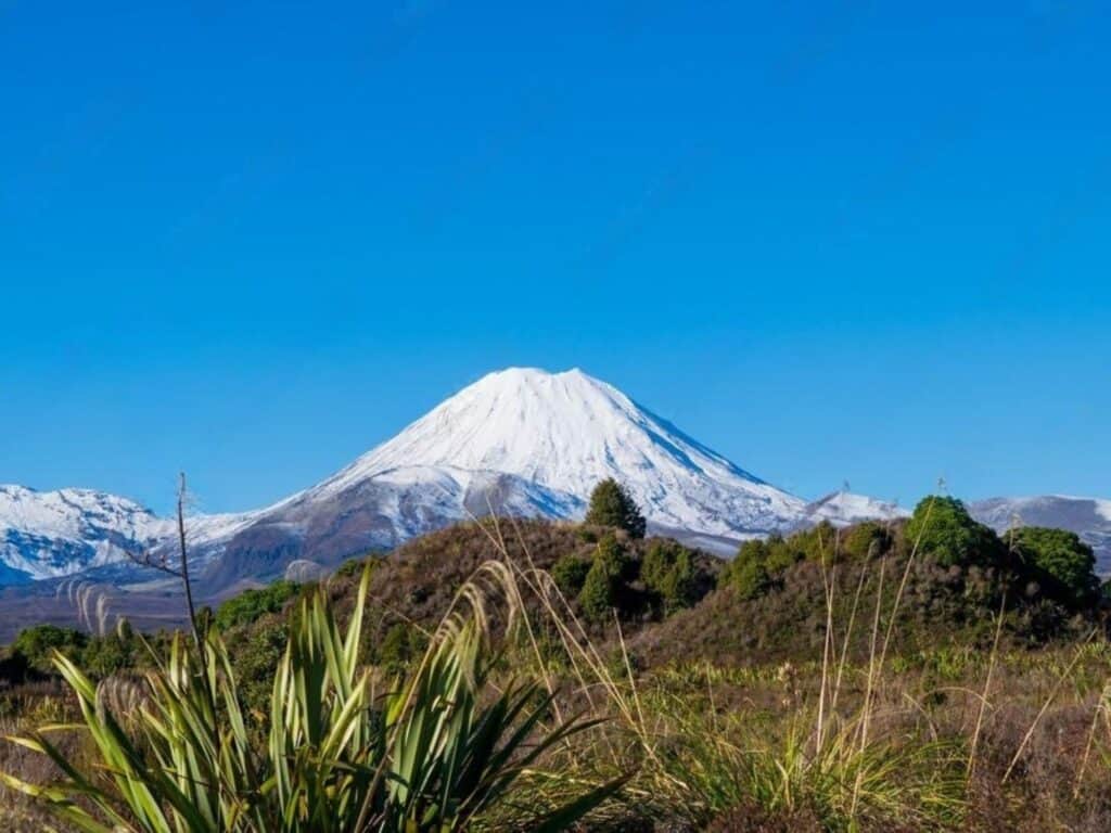 Snow-capped Mount Ngauruhoe under a clear blue sky, surrounded by rugged terrain and green shrubs in the foreground, offers a stunning view for those hiking New Zealand's North Island.