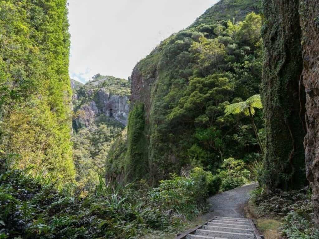 A scenic view of a narrow hiking trail surrounded by lush green vegetation and steep cliffs. A staircase leads up through the dense forest on Mount Taranaki, with tall trees and ferns lining the path under a partly cloudy sky, capturing the essence of hiking New Zealand's North Island.