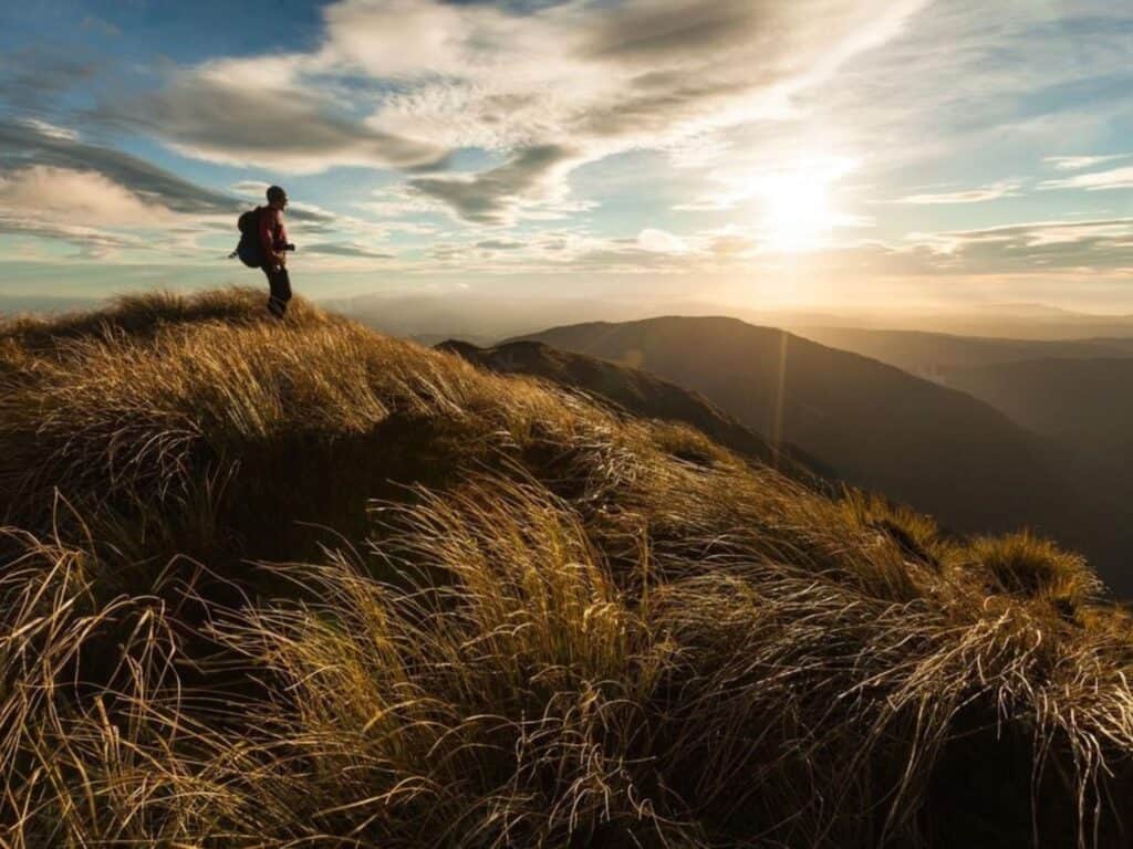 A person stands on a grassy hill, gazing at a distant landscape as the sun sets during a hike in North Island, New Zealand. The sky is filled with clouds, and the golden hour light beautifully illuminates the scene.