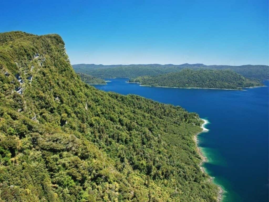 Aerial view of a lush, green forested hillside alongside a vast, deep blue lake under a clear blue sky. Distant forests and rolling hills are visible across the lake, reflecting the serene beauty of hiking New Zealand's North Island.