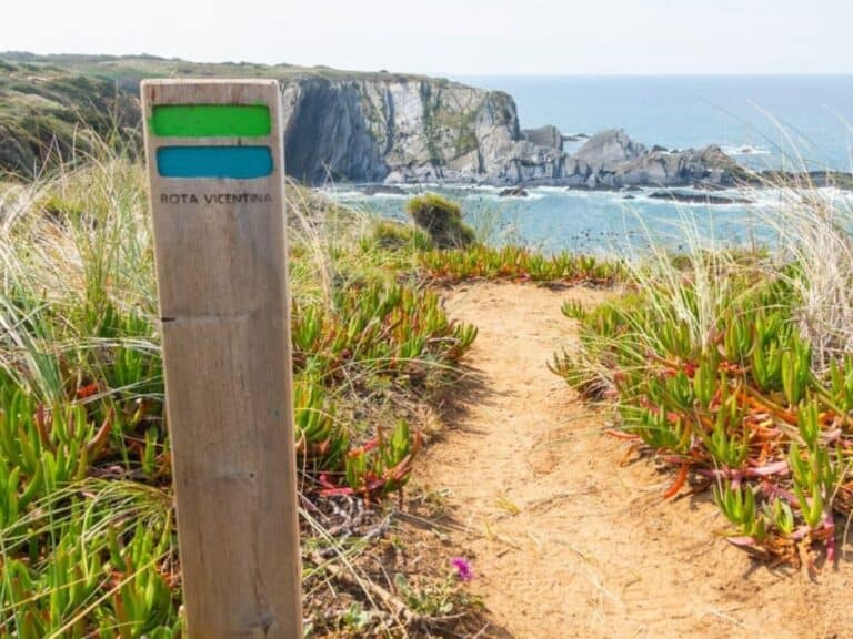Best Rota Vicentina Guided Tours: Fishermen’s Trail and Historical Way Options